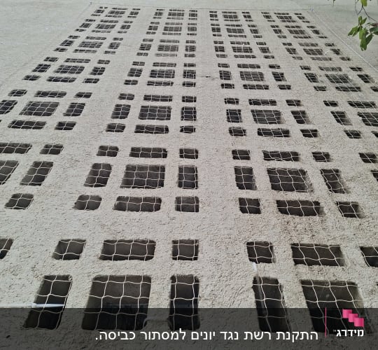 רשתות מותקנות על קיר למניעת כניסת יונים